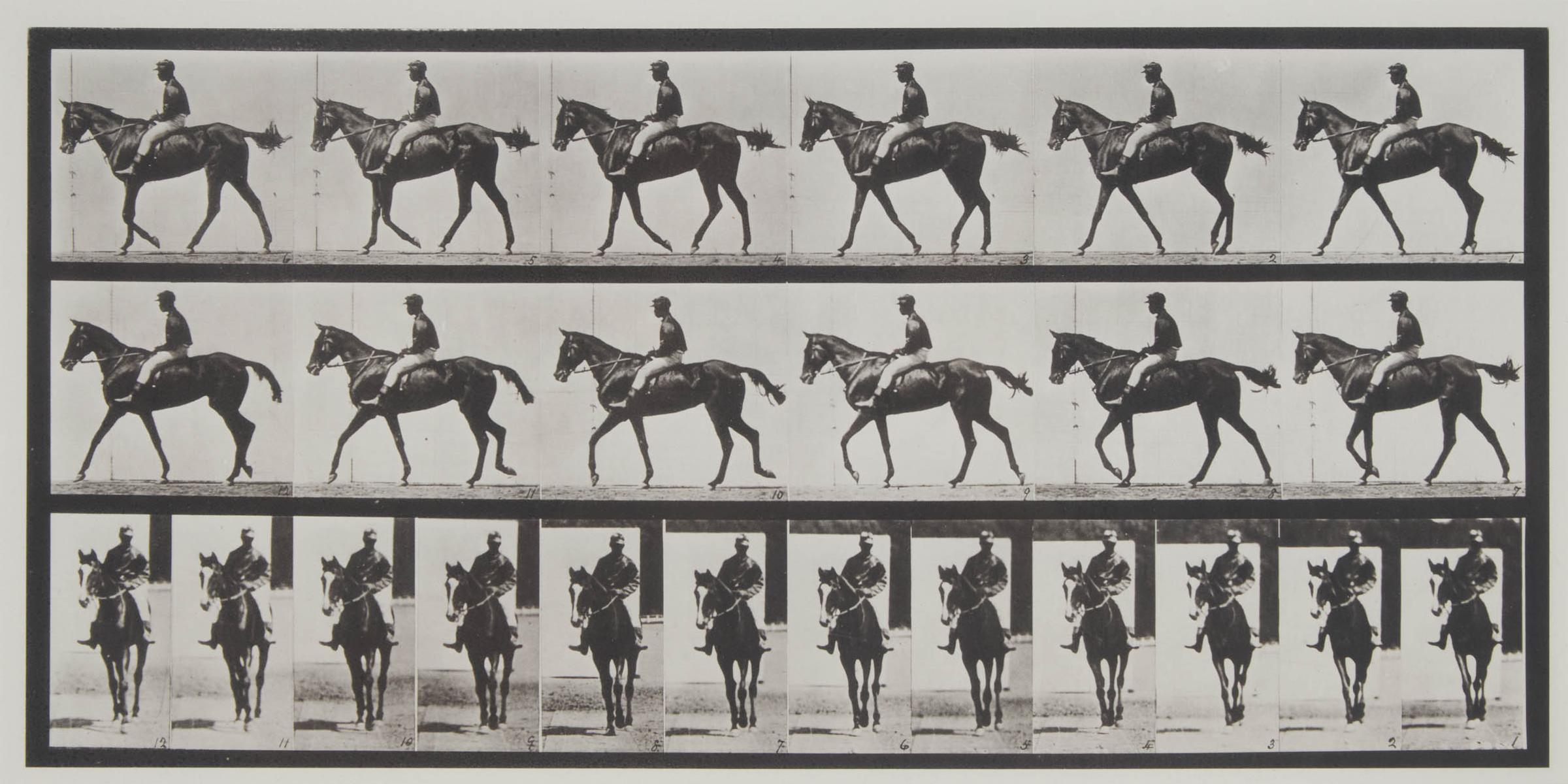 Eadweard Muybridge - Man Riding Horse, Plate 580 From Animal Locomotion, 1887
