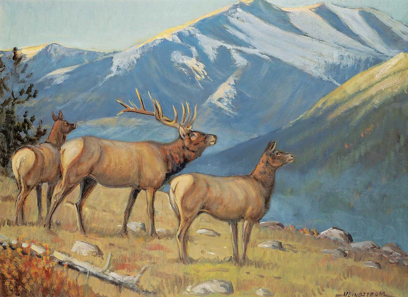 Matt Lindstrom (1890-1975) - Untitled - Elk Sensing Danger