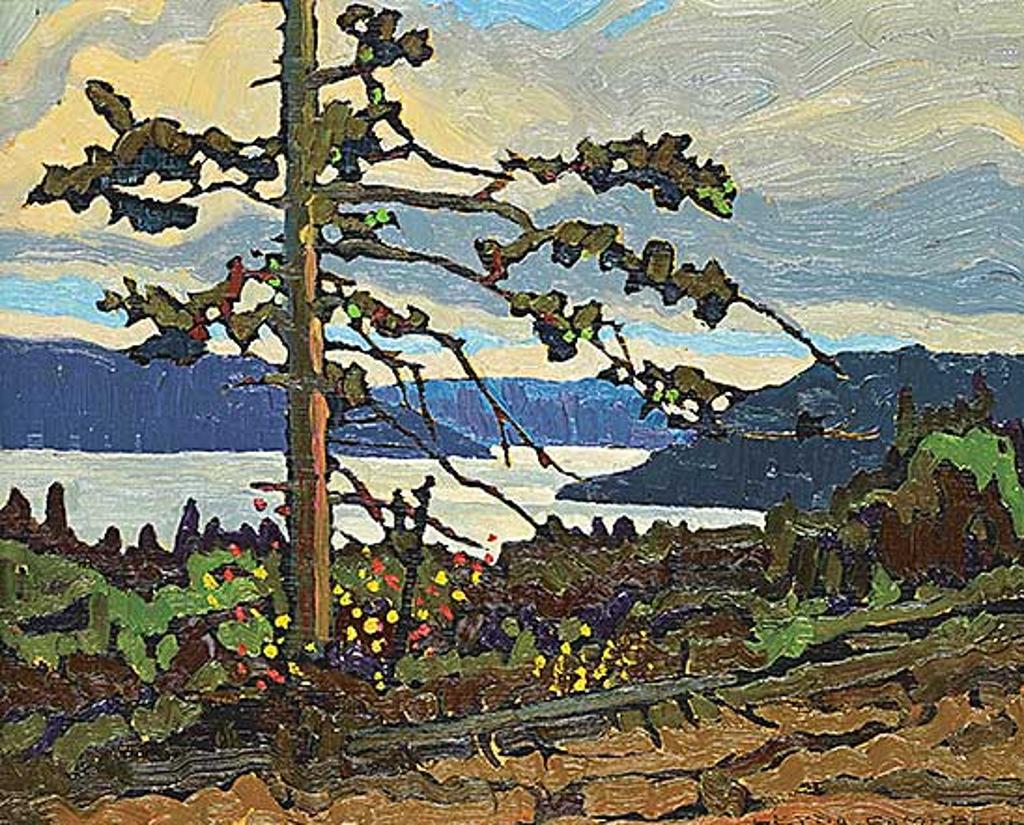 Leyda Campbell (1949) - View from Salt Spring