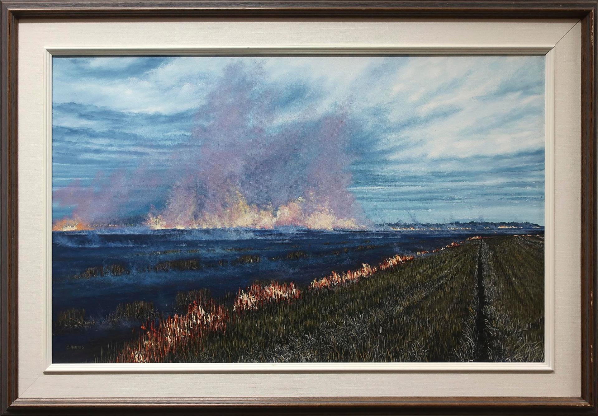 Julie Harris - Burning Off The Straw, Grosse Isle, Manitoba