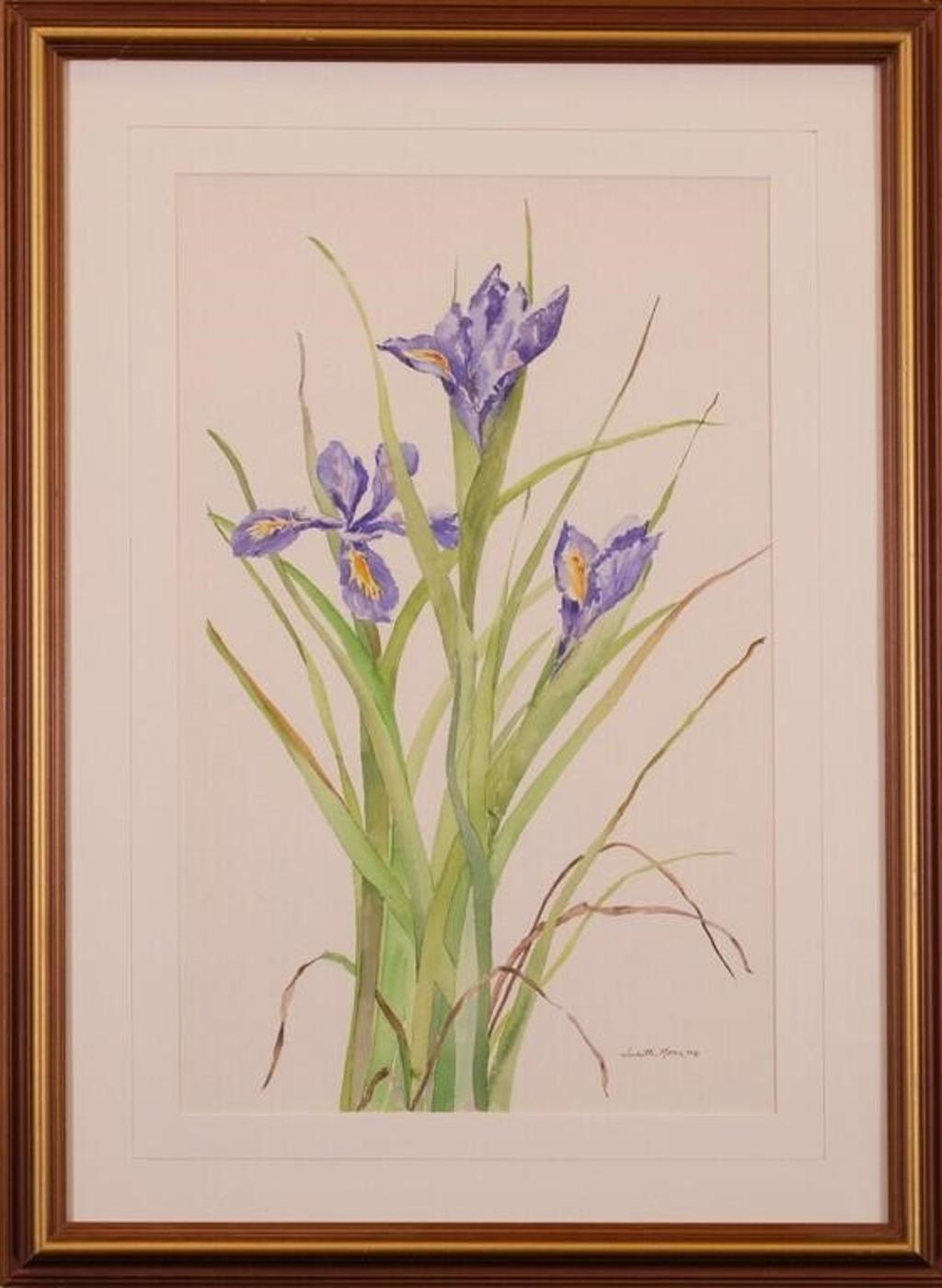 Judith Moore - Iris; 1984