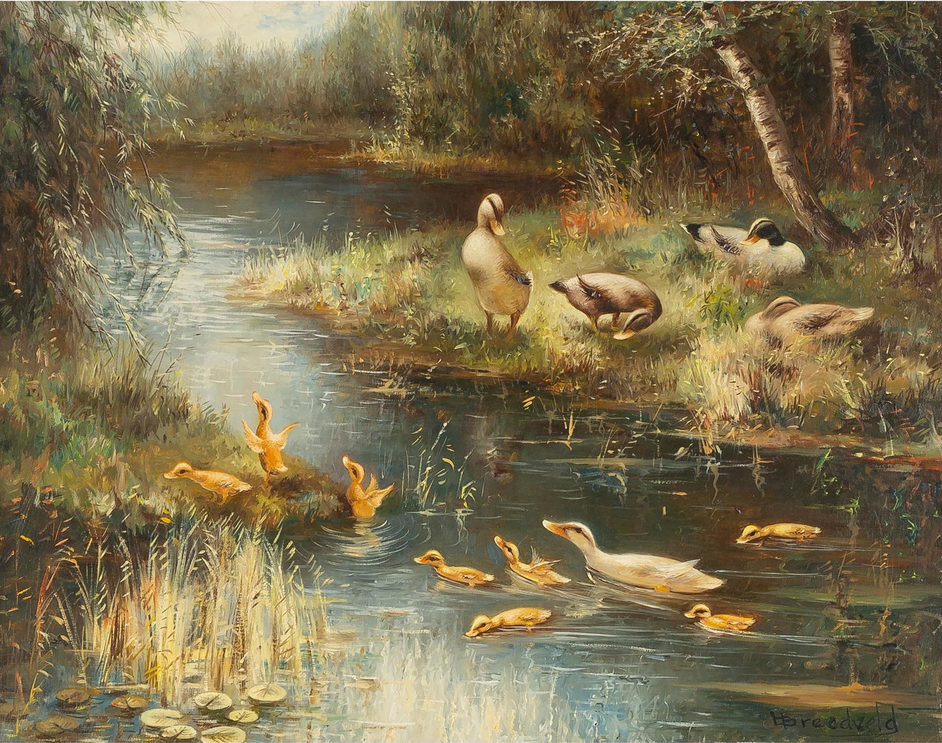 Hendrik Breedveld - Ducks