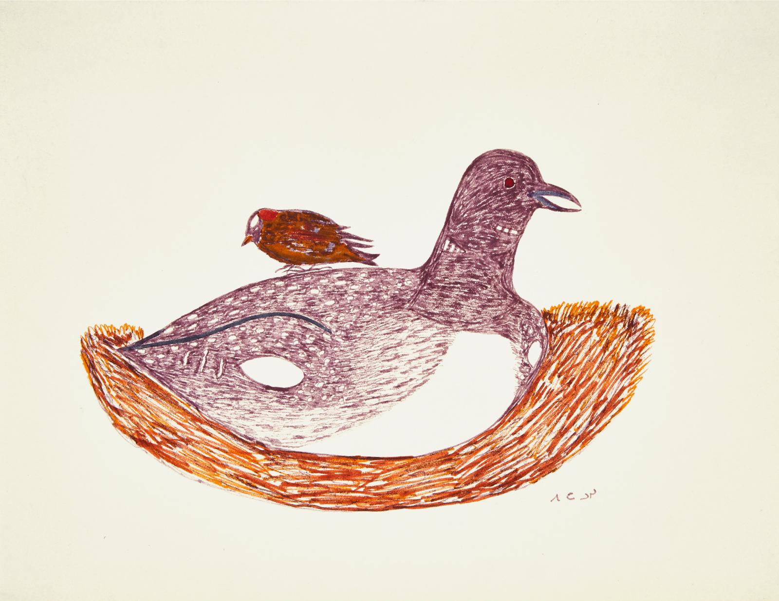 Pitaloosie Saila (1942-2021) - Untitled (Nesting Loon)