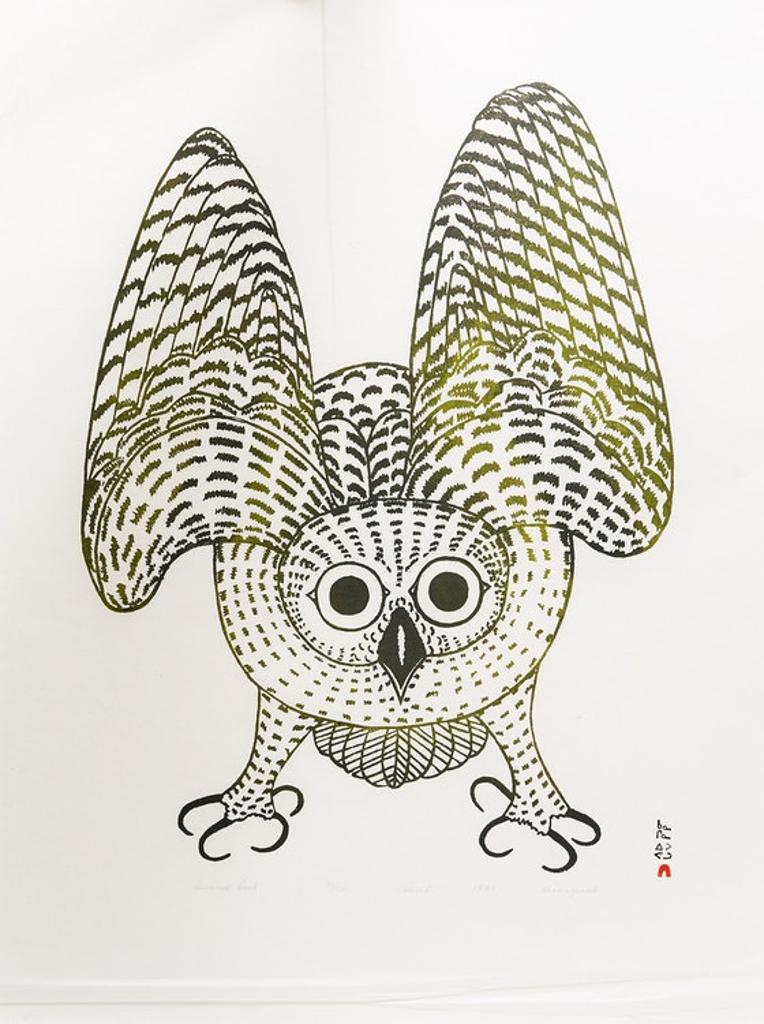 Kananginak Pootoogook (1935-2010) - Summer Owl