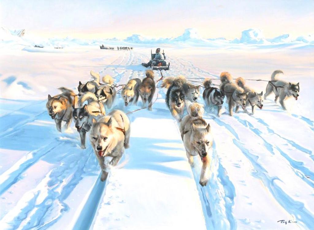 Tag Kim - Arctic Scene With Dog Team