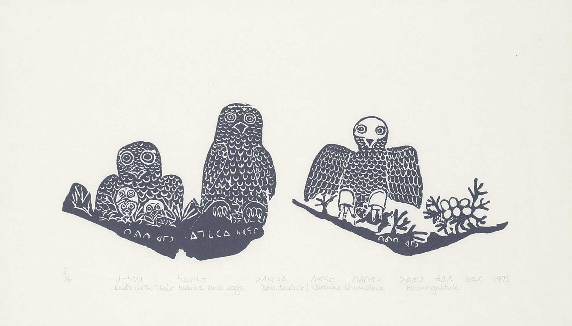 Davidialuk Alasua Amittu (1910-1976) - Owls with their Babies and Eggs