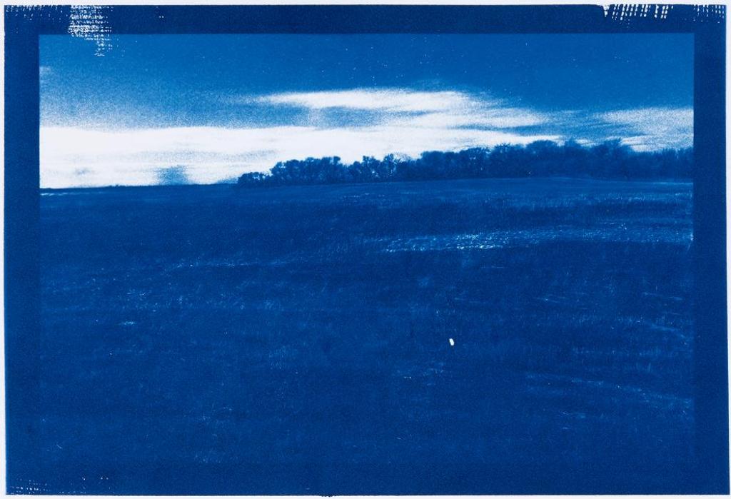 Sheldon Brown (1988) - Untitled - Horizon Cyanotype