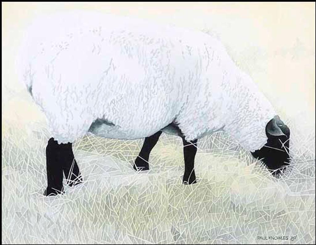 Paul Knowles - Summer Grazing (01145/2013-2060)