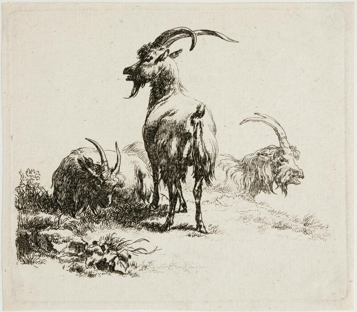 Nicholaes Berchem (1620-1683) - Three Goats