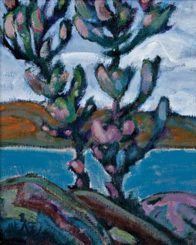 James Edward Hergel (1961) - Young Pines, Muskoka