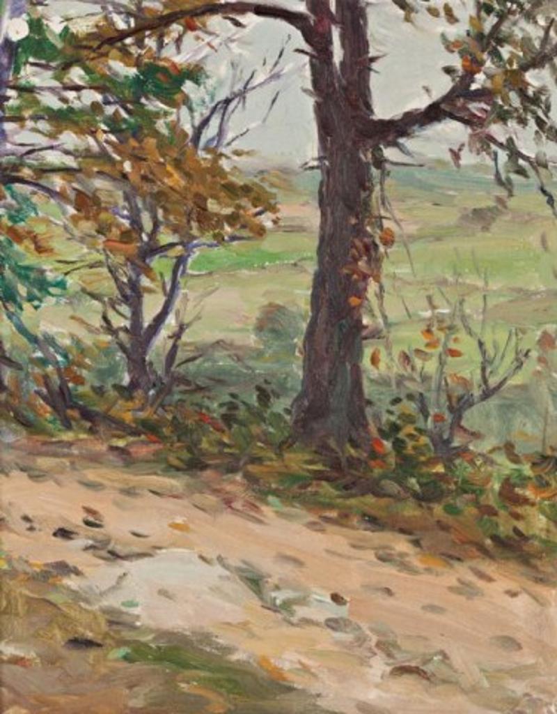 Elizabeth Mcgillivray Strachan Knowles (1866-1928) - Treed Lined Path