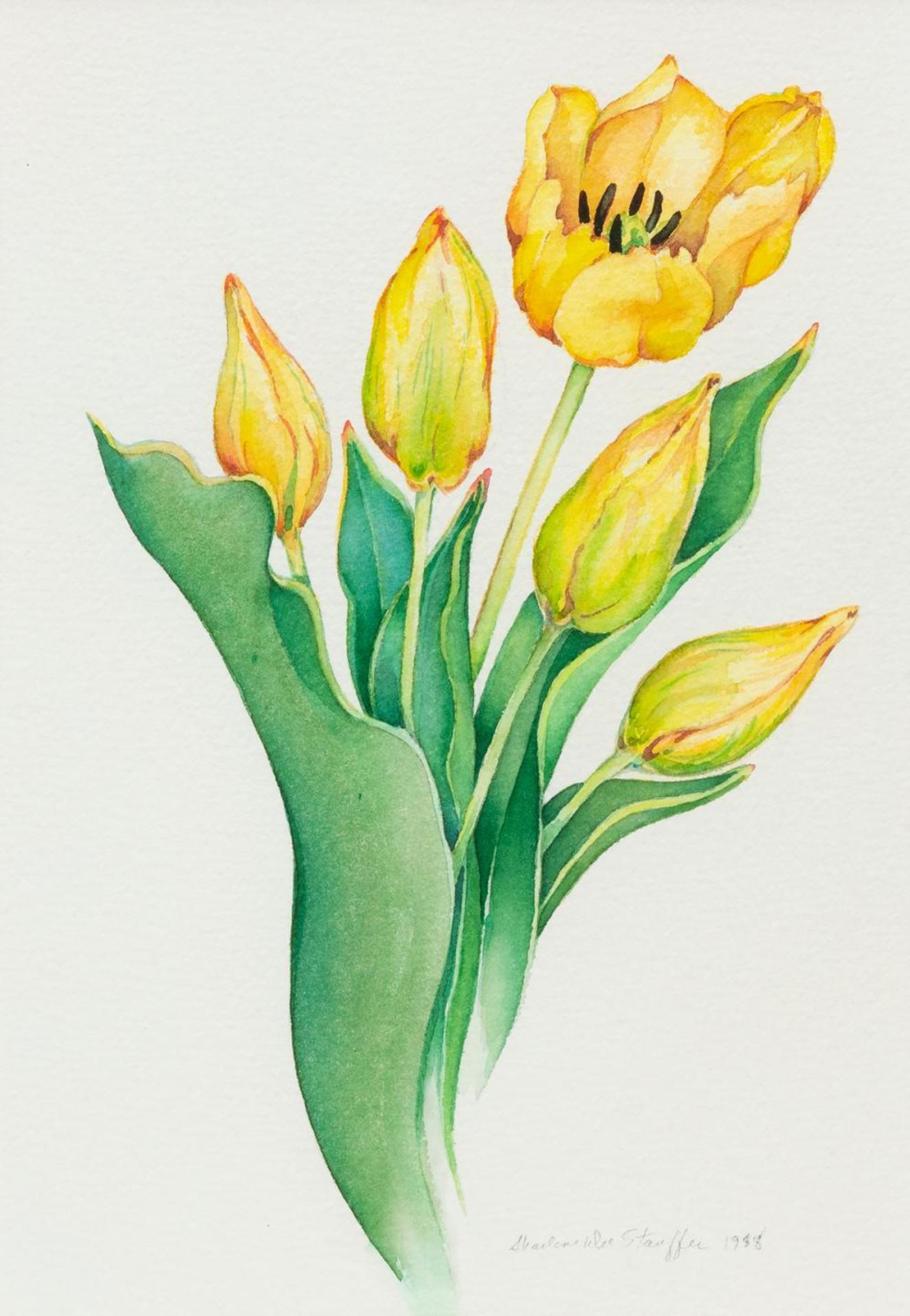 Sharlene Dee Stauffer (1935-2013) - Four Buds and a Tulip