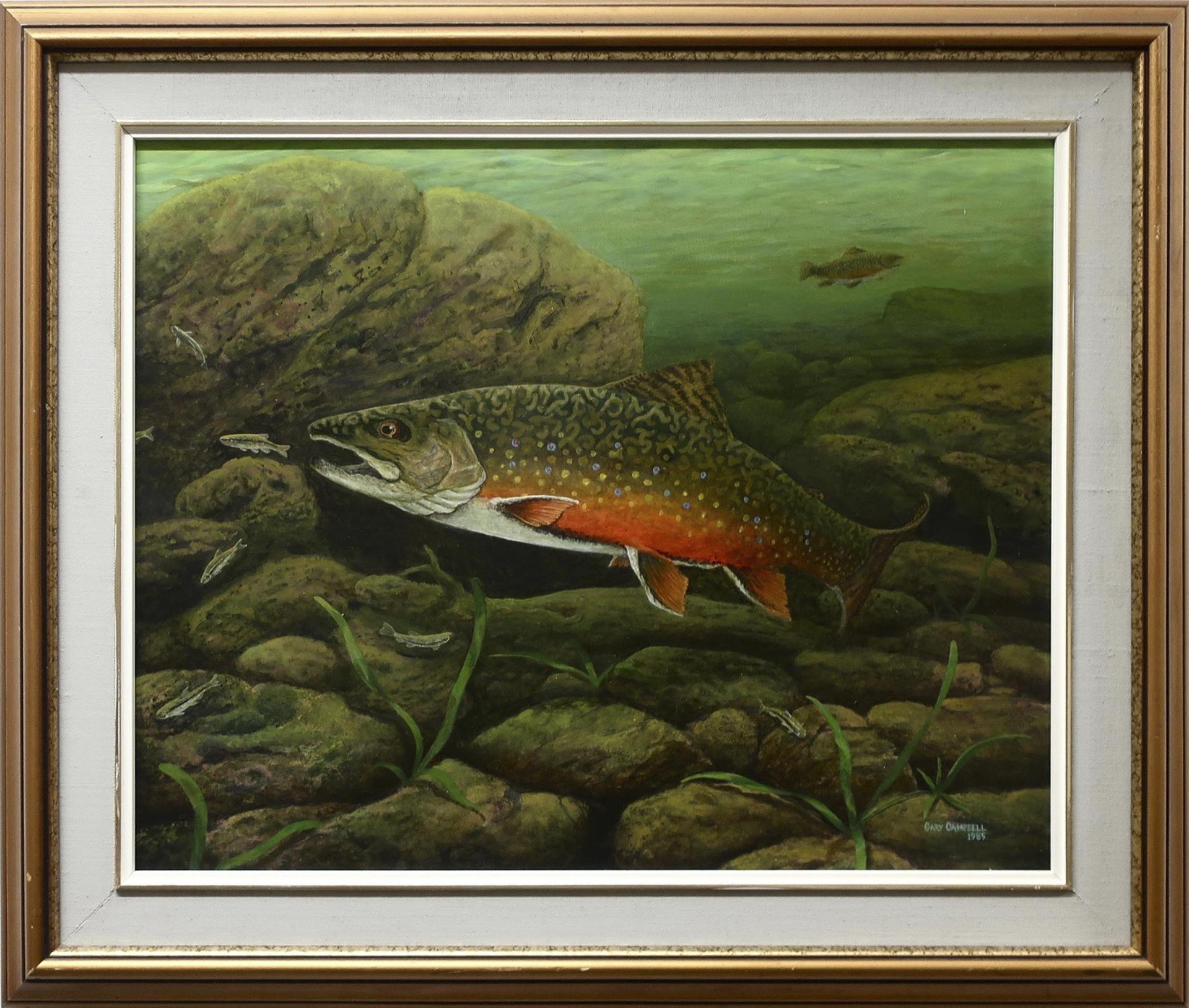 Gary Campbell - Untitled (Salmon Spawning)
