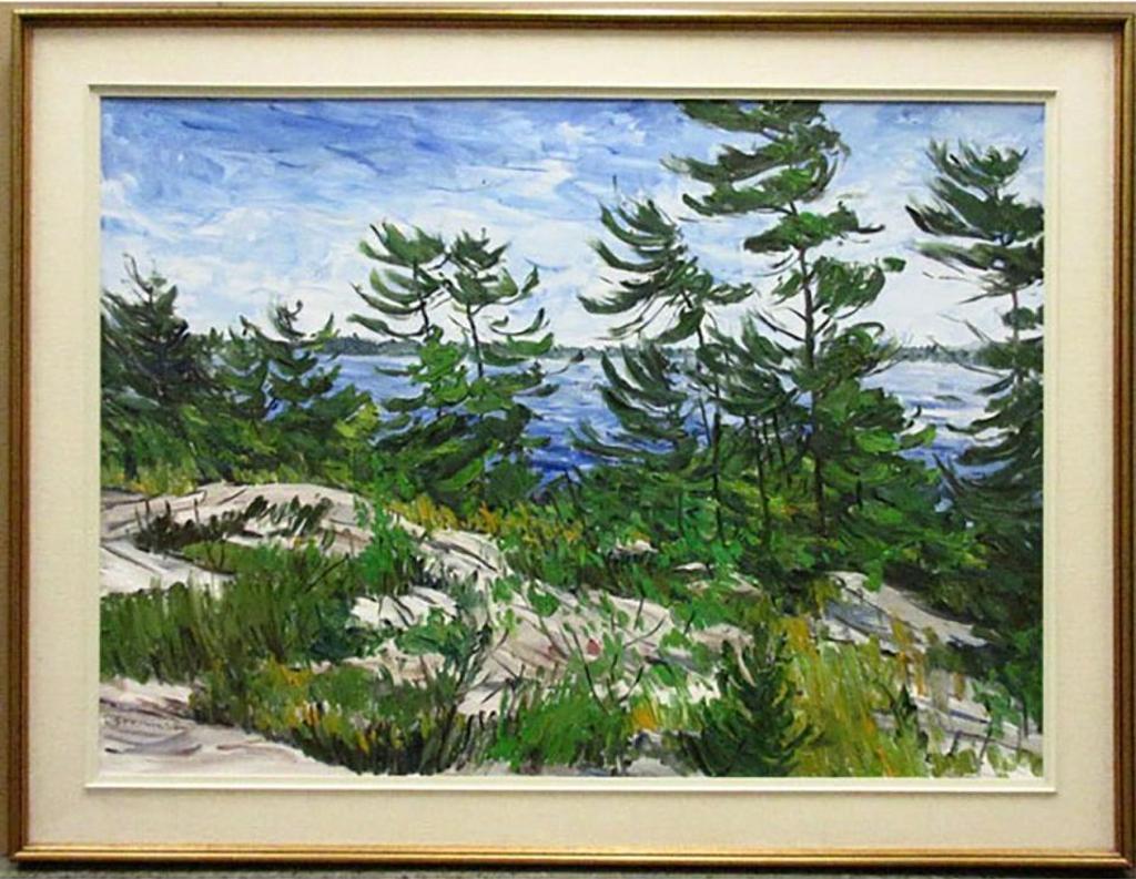 Bruce Steinhoff (1959) - Mowat Island, Georgian Bay