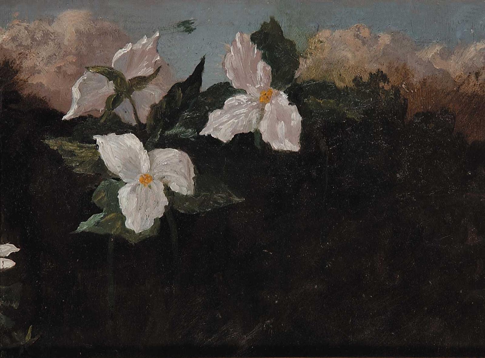 Thomas Mower Martin (1838-1934) - Untitled - Trilliums