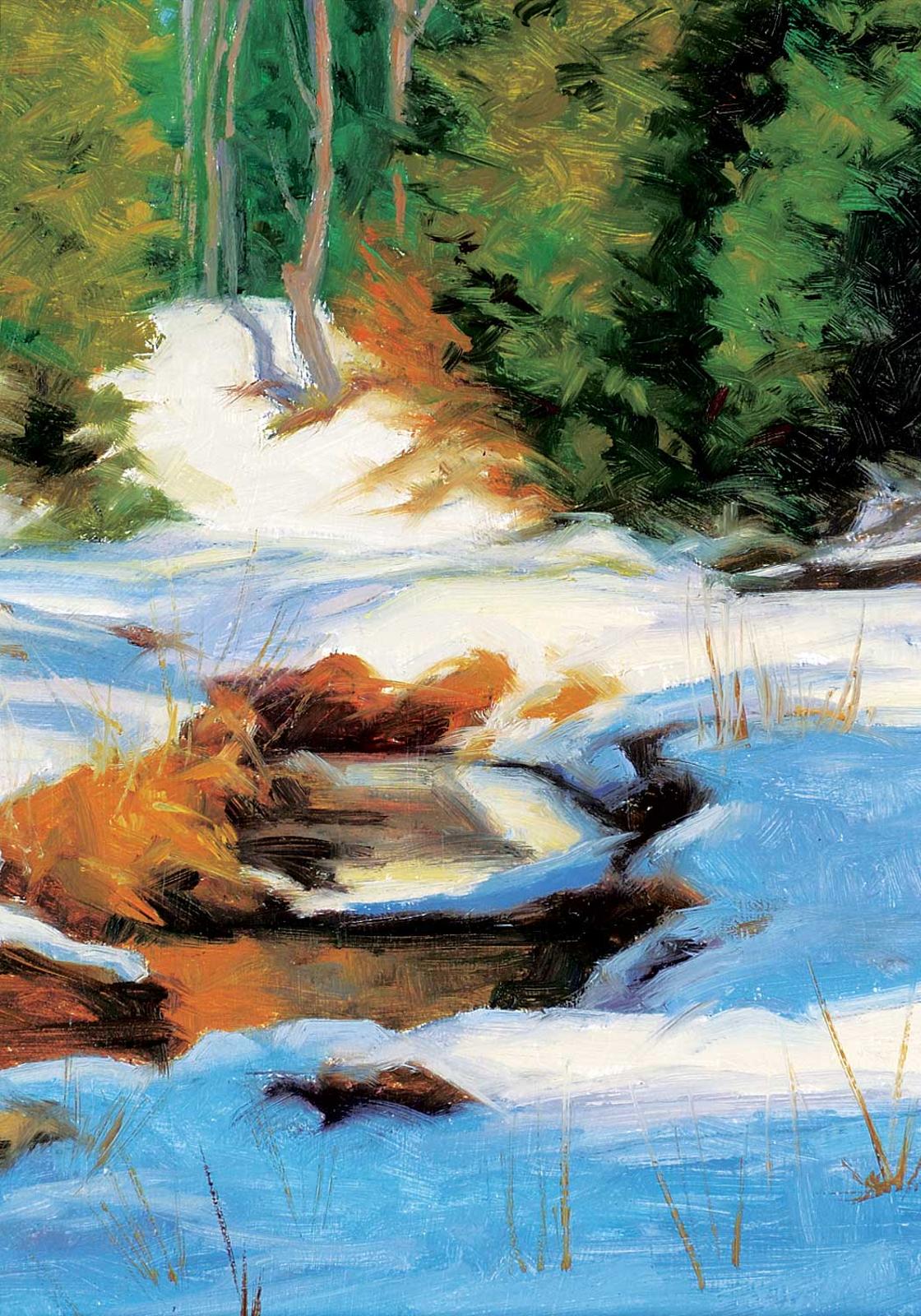 Richard VanderMeer (1958) - Study of Silvercreek in January