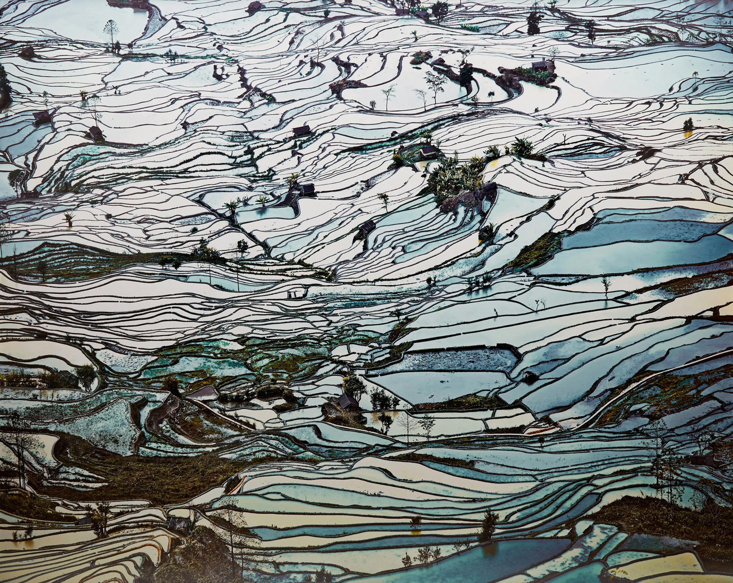 David Burdeny (1968) - Rice Terraces, (Laohuzui II), Yunnan, China