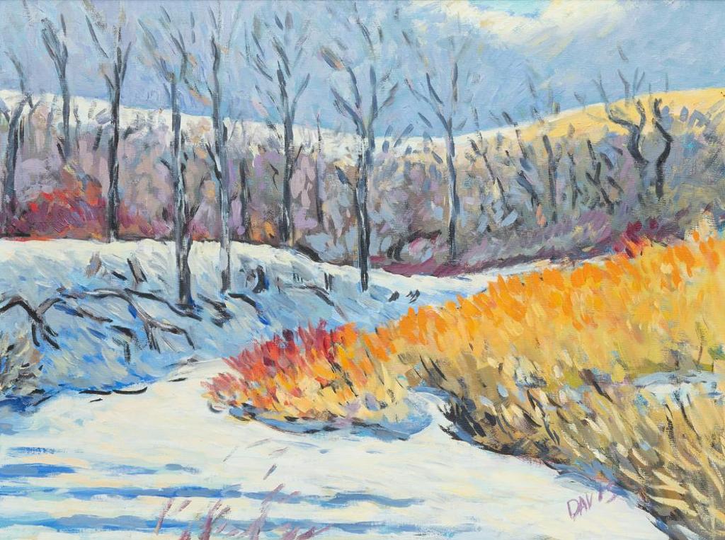 Ron Davis - Boggy Creek - Winter