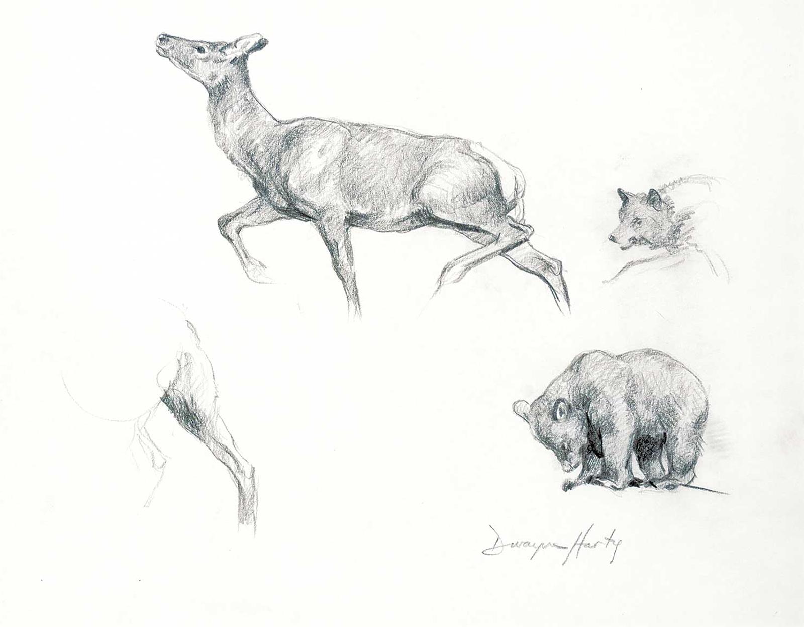 Dwayne Harty (1957) - Untitled - Bear and Deer Study