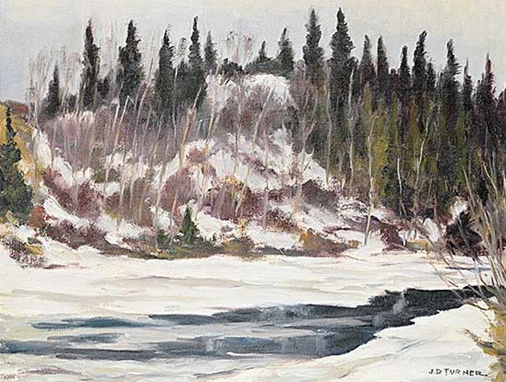 John Davenall Turner (1900-1980) - Elbow River