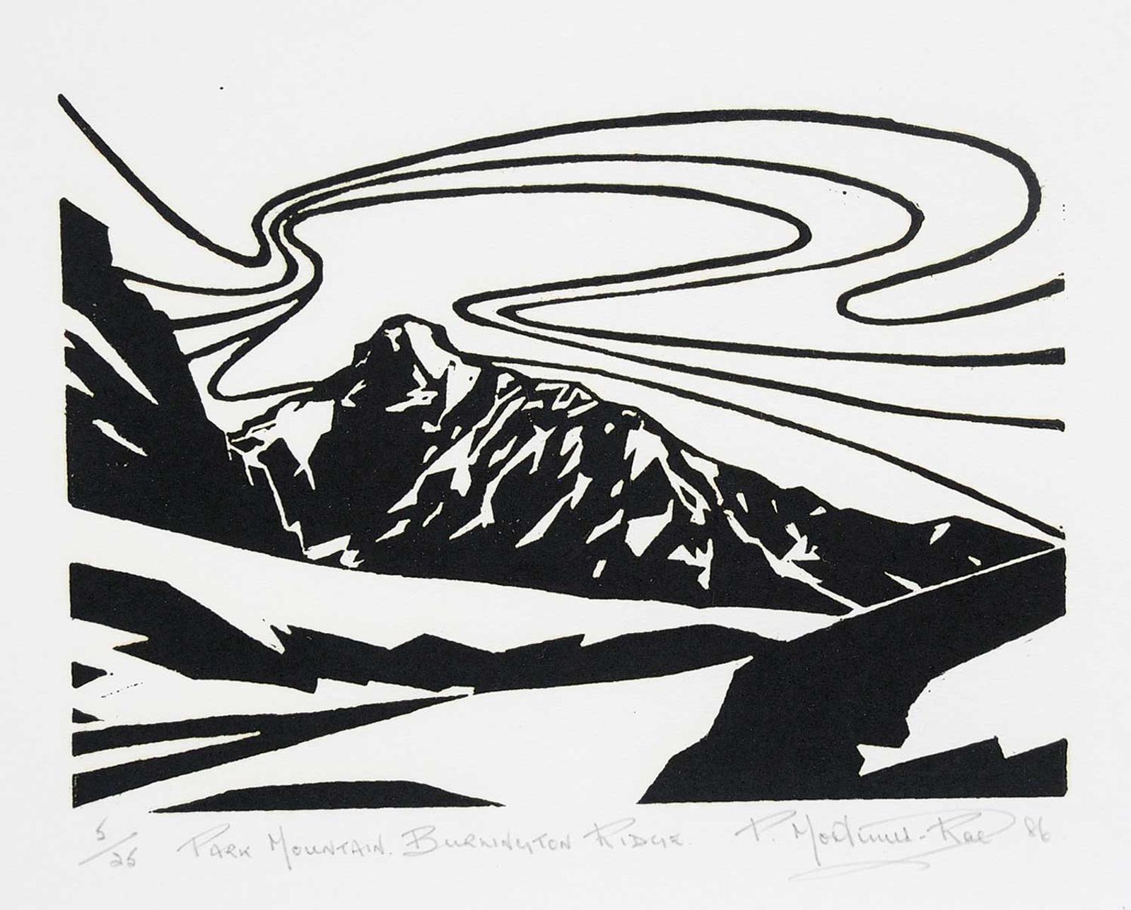 Peter Mortimer-Rae (1931) - Park Mountain, Burlington Ridge  #5/25