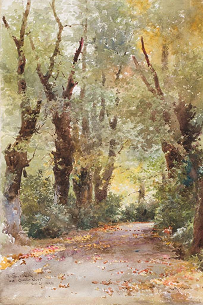 Lucius Richard O'Brien (1832-1899) - The Laurel Walk, Clovelly Court