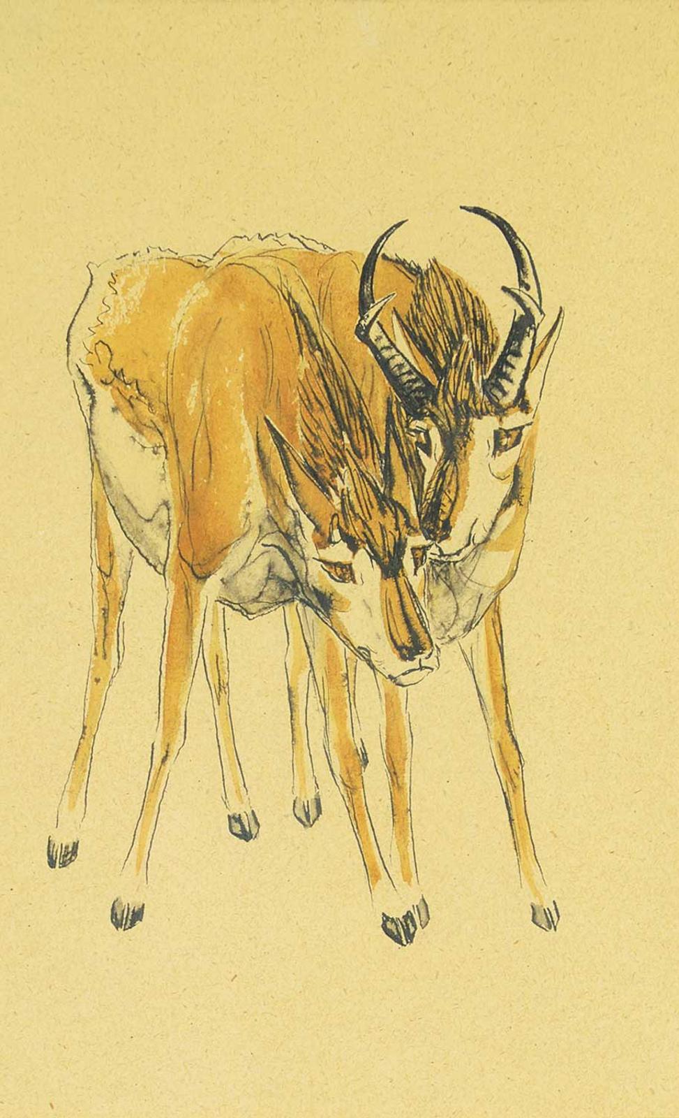 Illingworth Holey (Buck) Kerr (1905-1989) - Two Pronghorm Antelopes