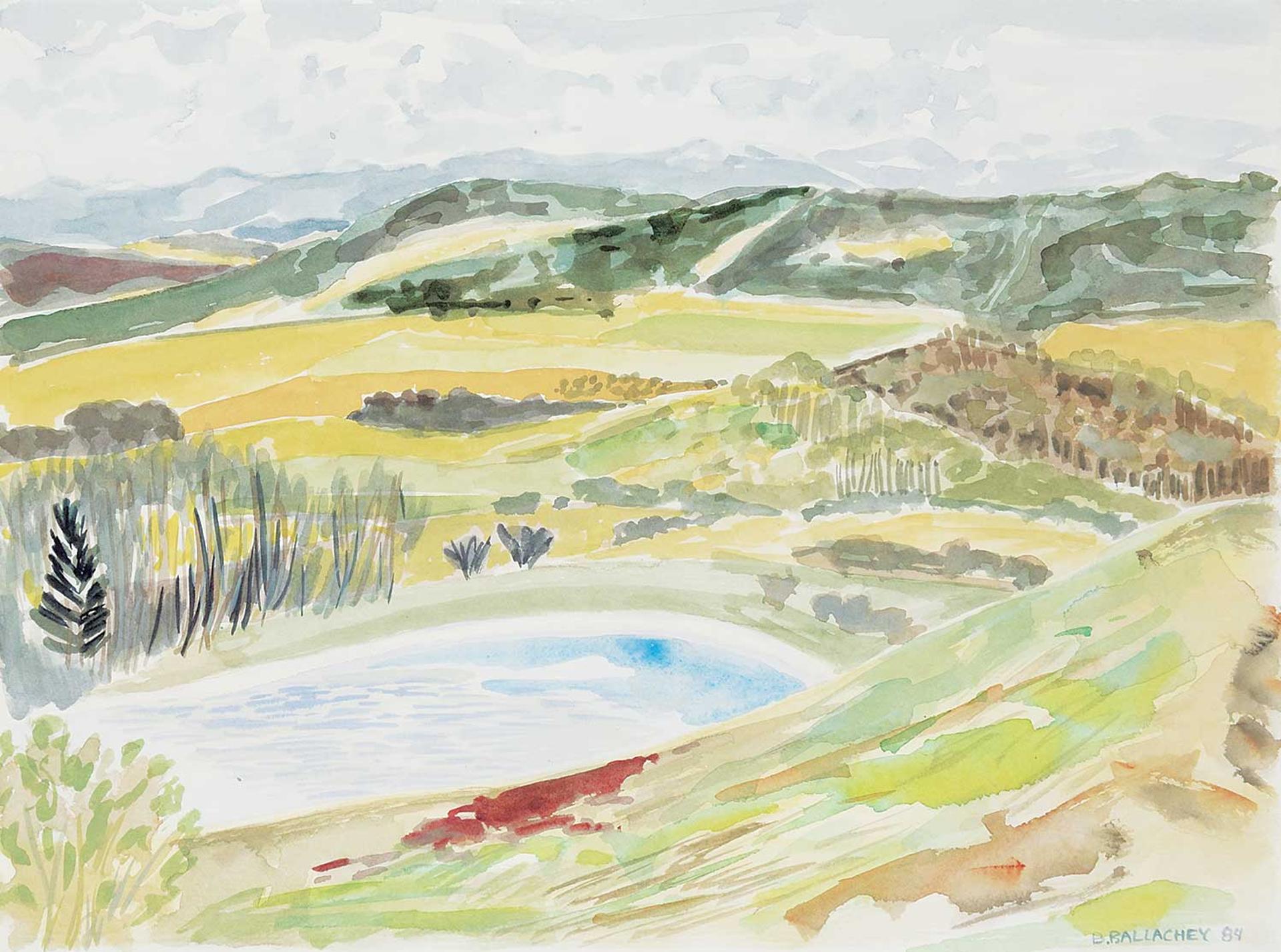 Barbara Ballachey (1949) - Pond Below Leighton Centre