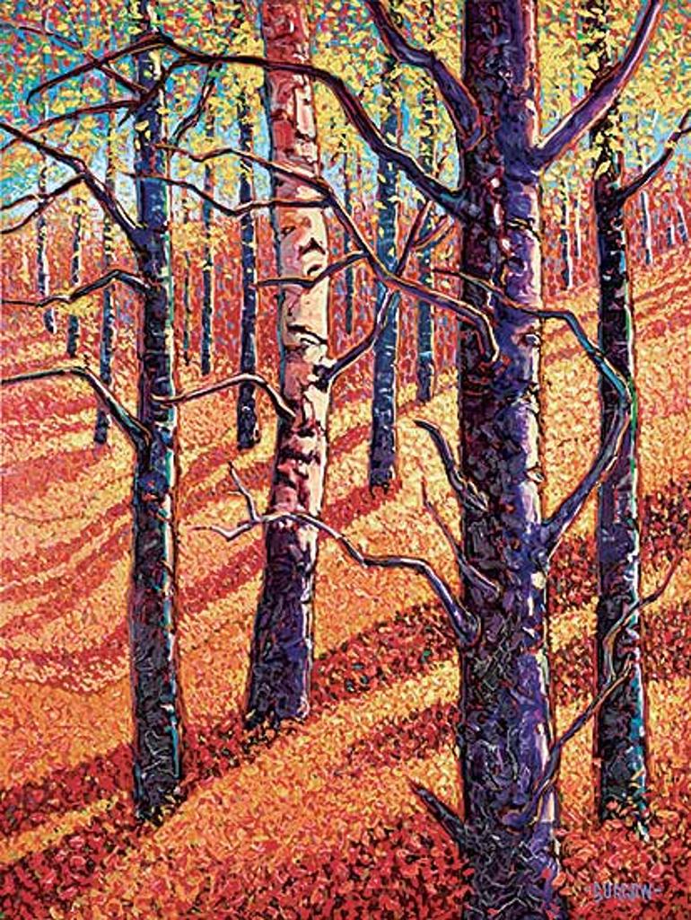 John H. Burrow (1955) - Deep Forest