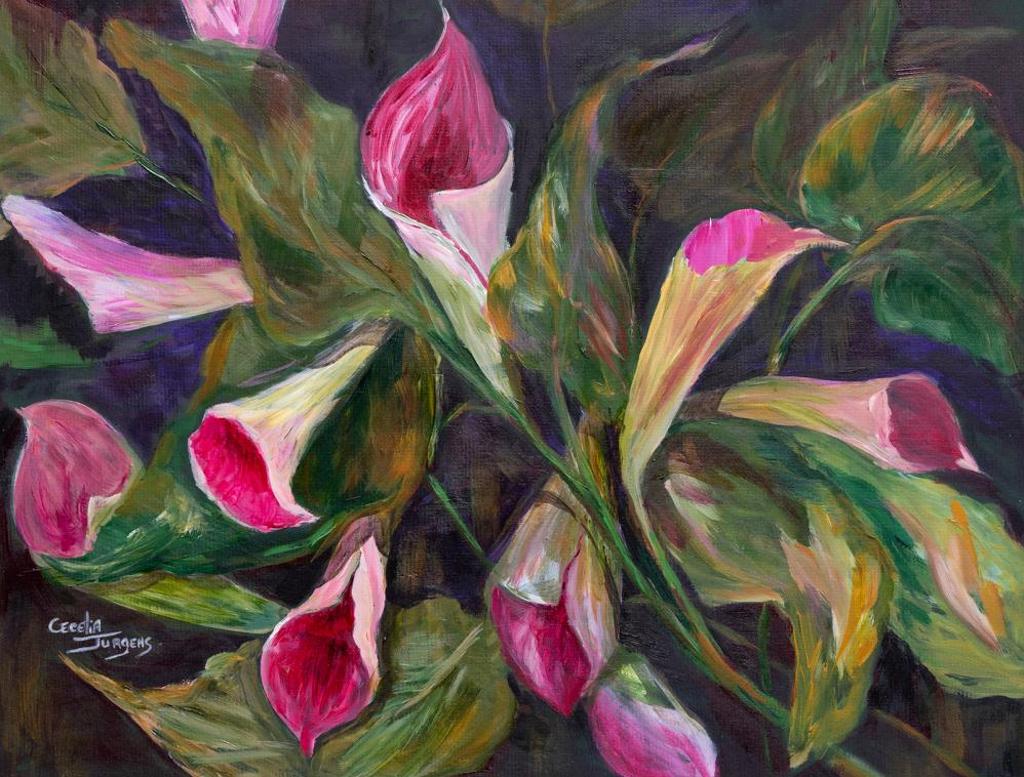 Cecelia Jurgens - Untitled - Calla Lilies