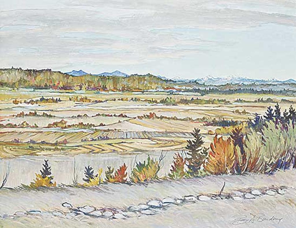 Barry Adam Burdeny (1946) - Untitled - Prairie Landscape