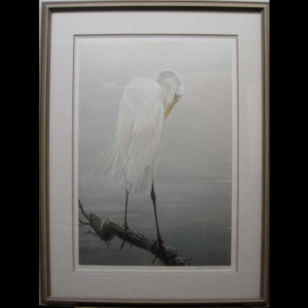 Robert Mclellan Bateman (1930-1922) - Great Egret Preening