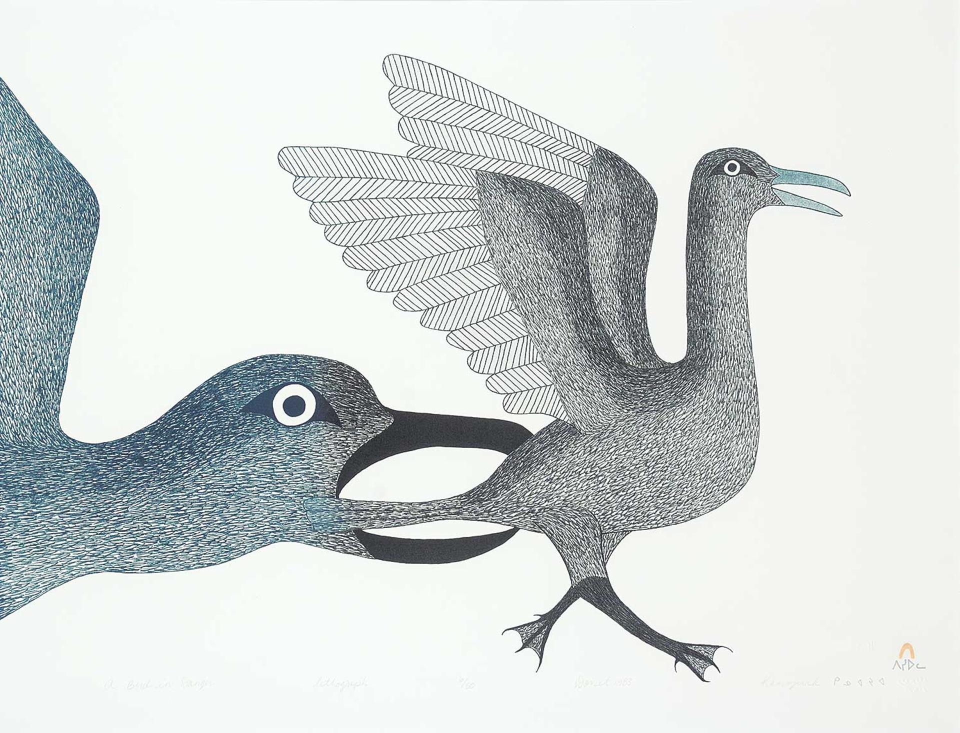 Kenojuak Ashevak (1927-2013) - A Bird in Danger  #6/50