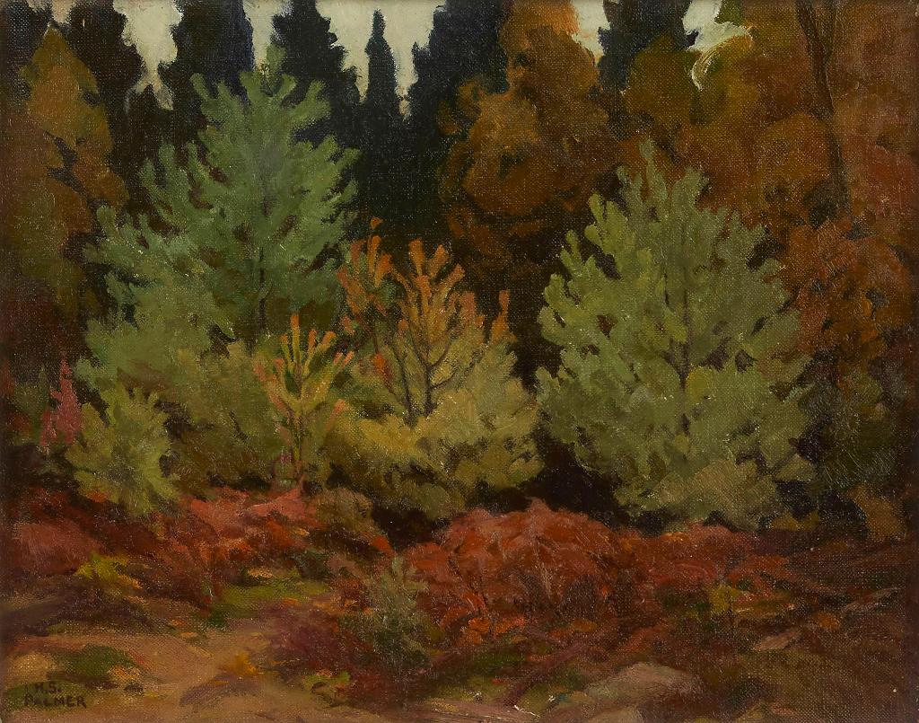 Herbert Sidney Palmer (1881-1970) - Sketch for Young Conifers