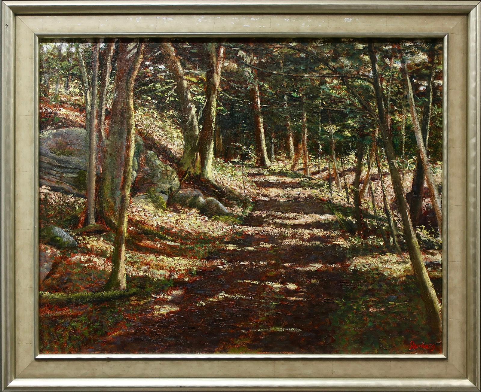 Neil Sternberg - Untitled (Sunlit Pathway)