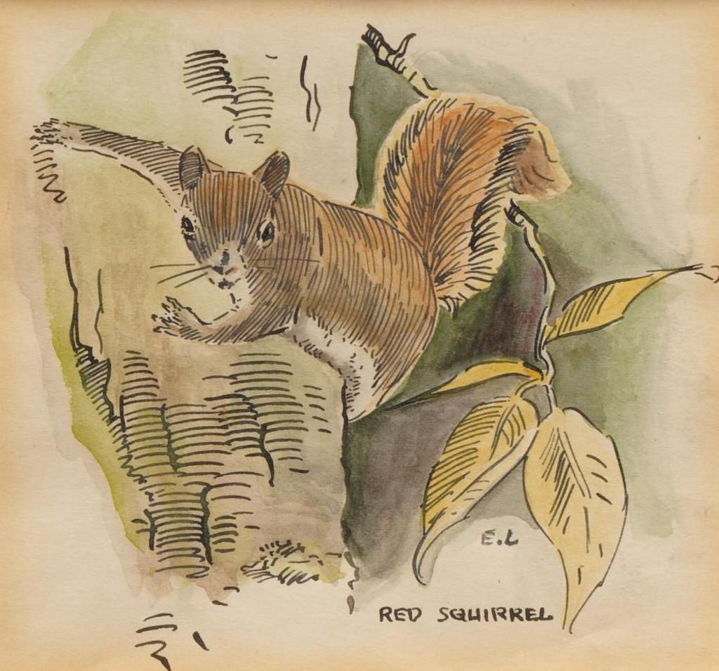 Ernest (Ernie) Luthi (1906-1983) - Red Squirrel