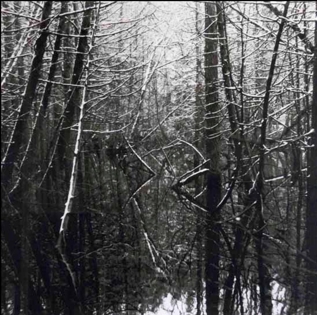 Judy Gouin (1947) - Beaver Swamp, Spring Snow II (02730/2013-1284)