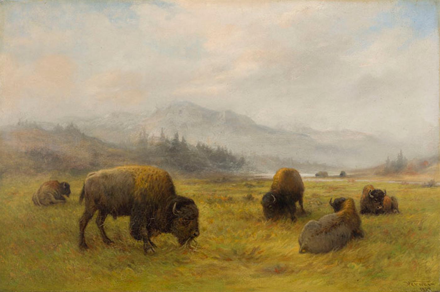 Frederick Arthur Verner (1836-1928) - Buffalo Grazing