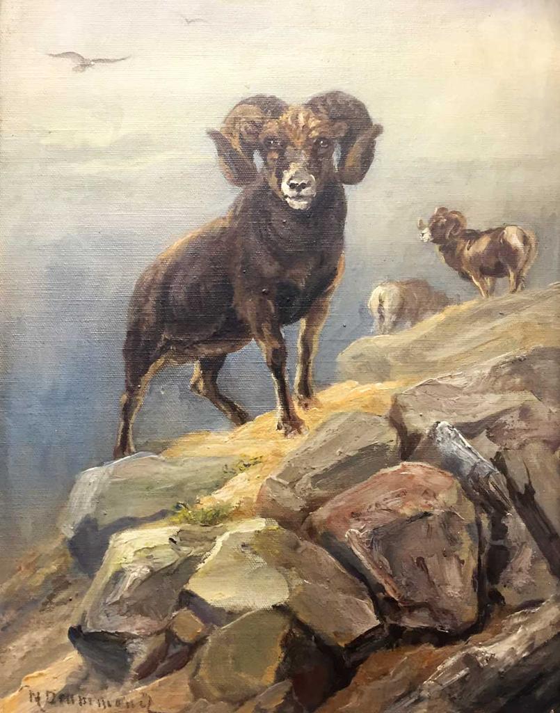 Nora Drummond-Davis (1862-1949) - Bighorn Mountain sheep