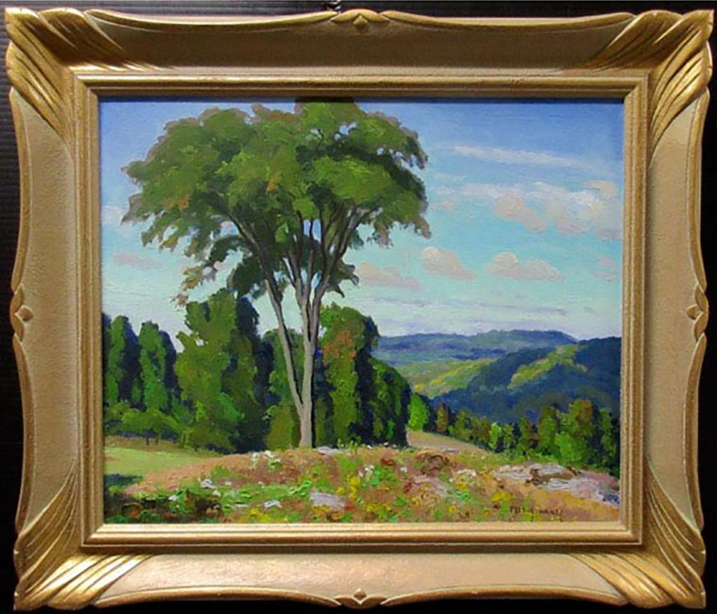 Frederick Stanley Haines (1879-1960) - Untitled (Summer Landscape)