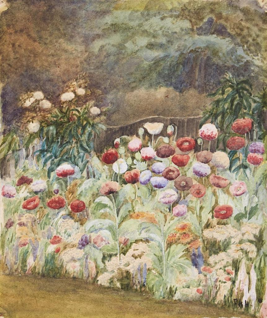 Frances Anne Beechey Hopkins (1838-1919) - Wild Poppies