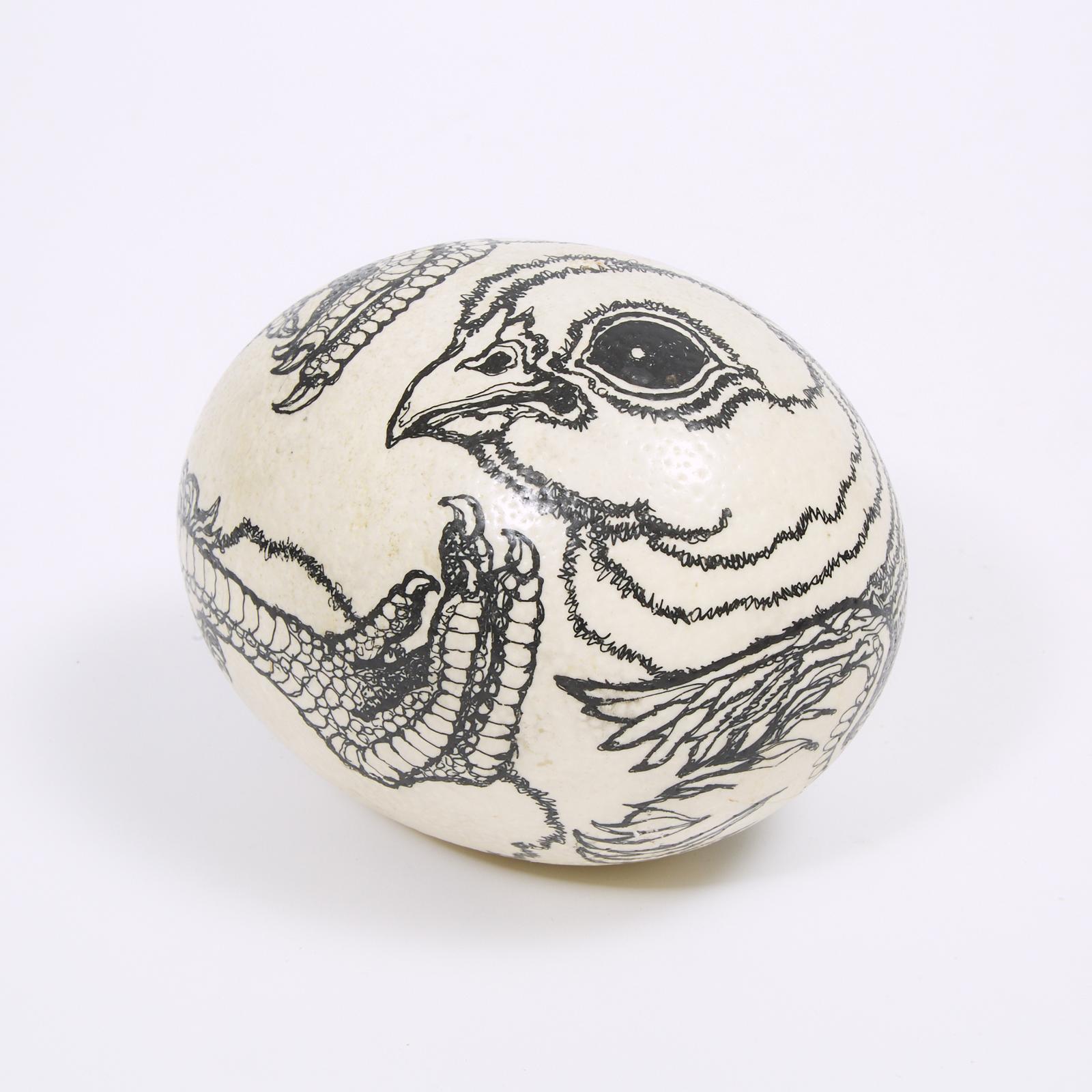 Lindee Climo (1948) - Embryonic Ostrich Egg