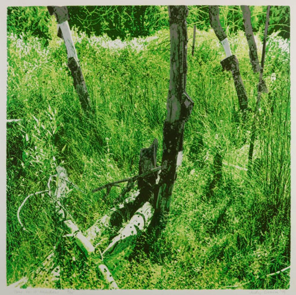 Judy Gouin (1947) - Trees in a Meadow (03464/147)