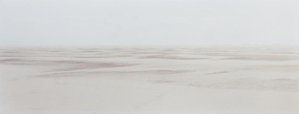 Thaddeus Holownia (1949) - Sable Island, 1985-1994 #10