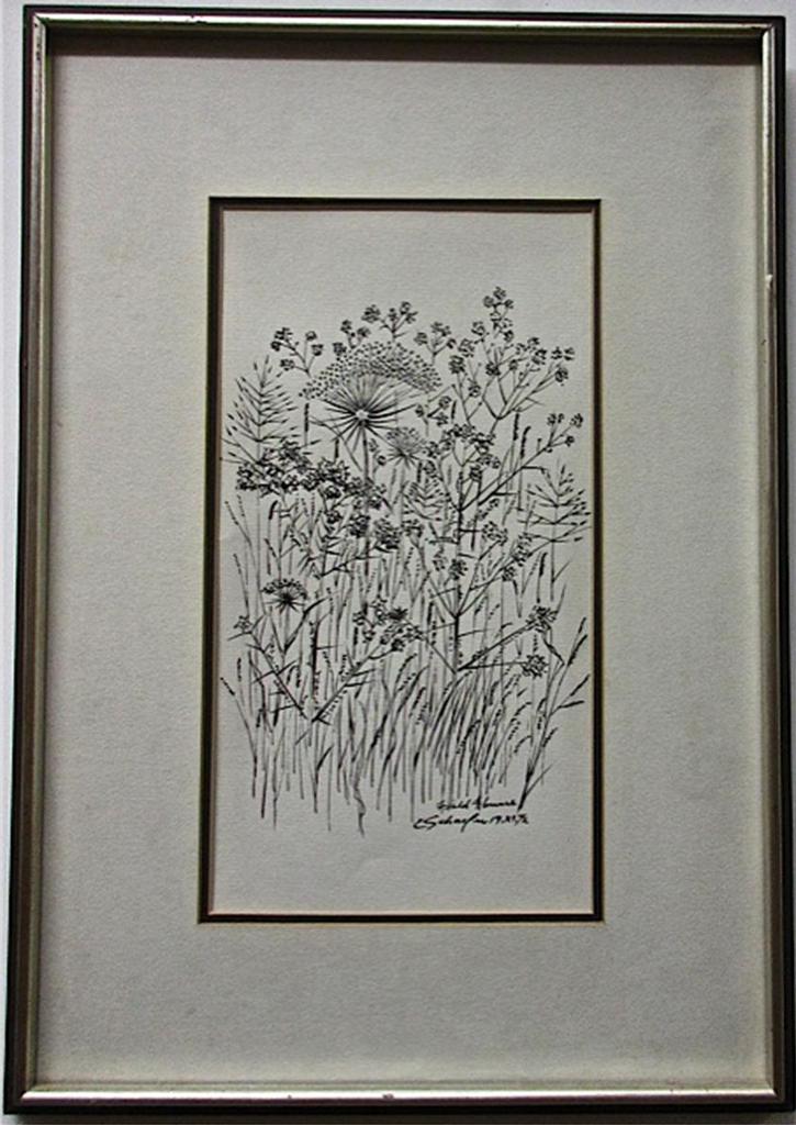 Carl Fellman Schaefer (1903-1995) - Field Flowers