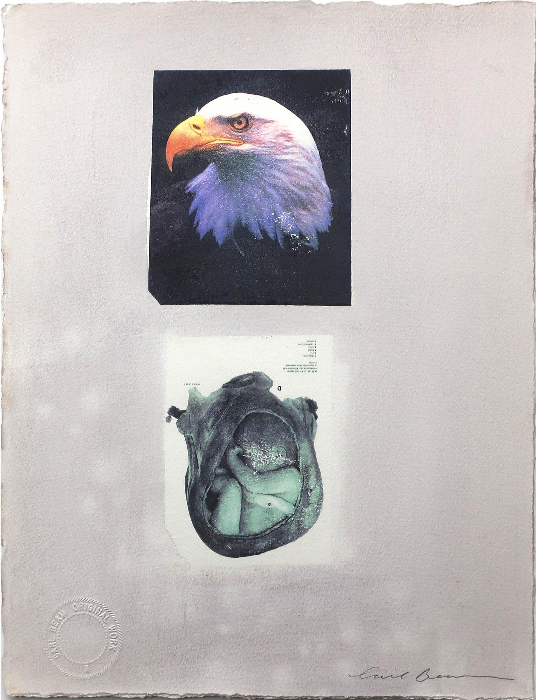 Carl Beam (1943-2005) - Bald Eagle/Unborn