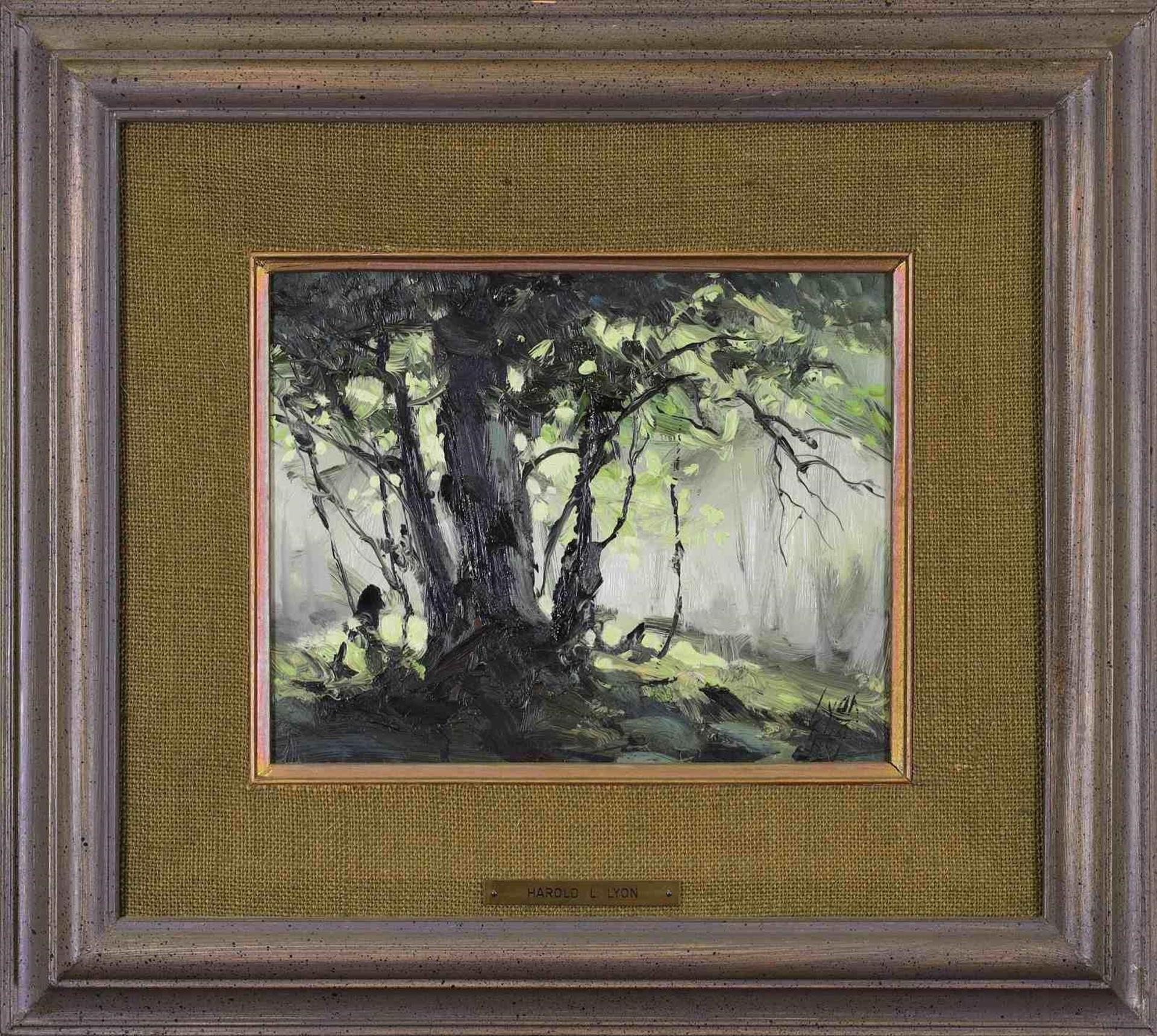 Harold Lloyd Lyon (1930-2020) - Untitled, Tree in Backlight