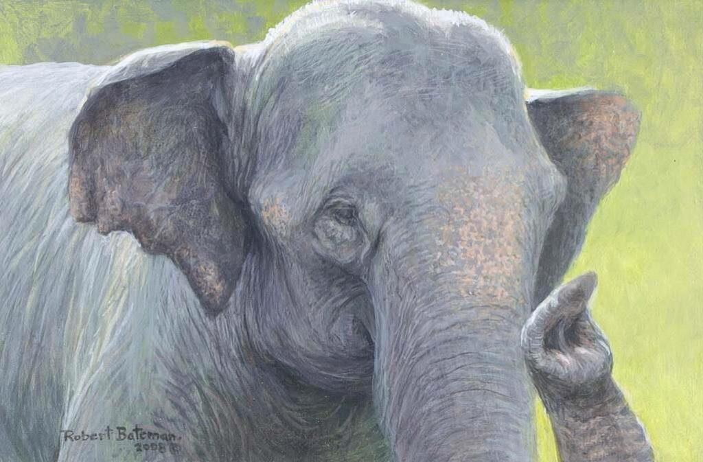 Robert Mclellan Bateman (1930-1922) - Burmese Elephant; 2008