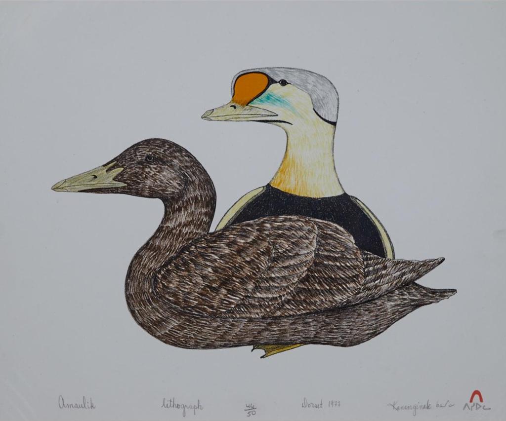 Kananginak Pootoogook (1935-2010) - Amaulik (Eider Duck)