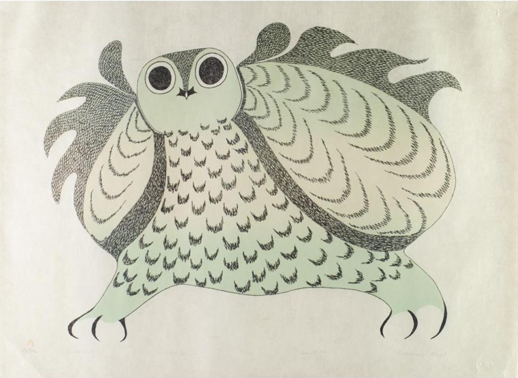 Pitaloosie Saila (1942-2021) - Great Owl